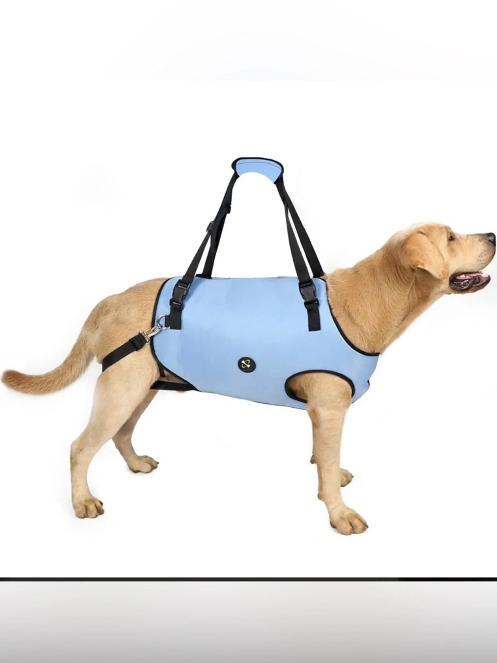 Adjustable Light Blue Dog Support Harness with Padded Lift Handles